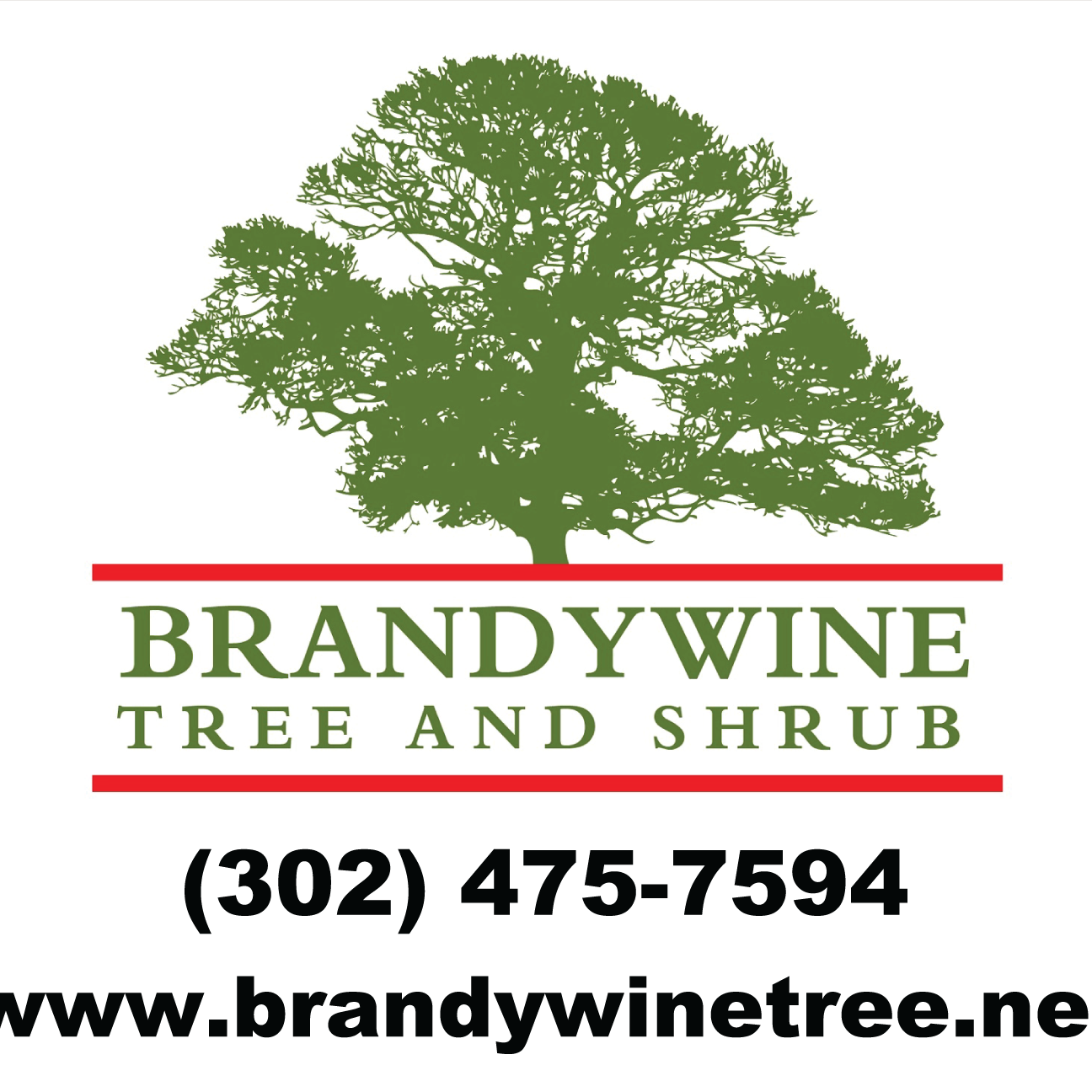Brandywine Tree &amp; Shrub